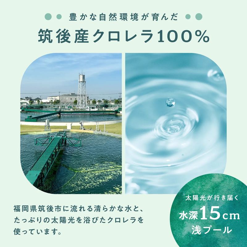 筑後産クロレラ100%
