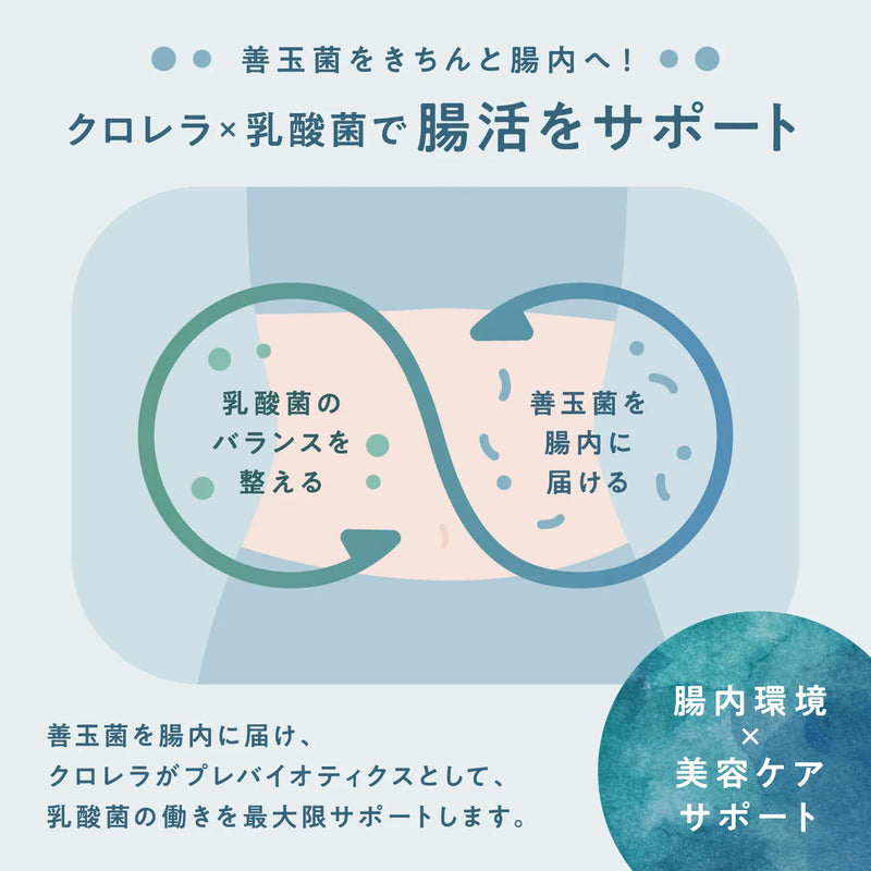 腸活をサポート！